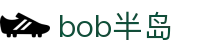 半岛BOB综合（中国）官方网站 - 一站式体育体验